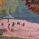 임실꽃화원 이미지