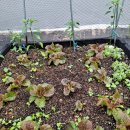 반여행복(여)경로당 이미지