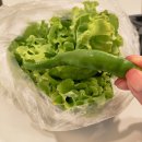 황제족발 | 전북 부안맛집 변산맛집 황제족발