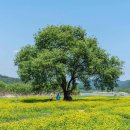 꽃밭 - 용산구 한강대로7길 9-16 | 꽃밭