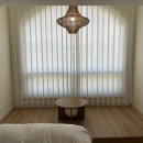 스테이 다로 이미지