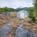 충북 괴산군 청안면 쉼터 440평 매가4000만원 이미지