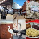 경북의성컬링센터 화장실 | [경북 의성, 영천, 청도 여행] 의성 로컬푸드 직매장, 의성 왜가리 생태관, 비벼 먹는 마늘장아찌...