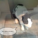 꼬미ㆍ꾸미