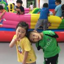 경희대 박사 Tiger kicks 태권도 이미지