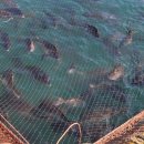 경상남도수산자원연구소 이미지