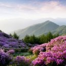 제일연합의원 이미지