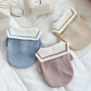 세라 유치원 이미지