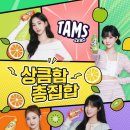 롯데칠성 신상 무설탕 탄산음료 탐스제로 후기!(사과키위,오렌지,레몬) 이미지
