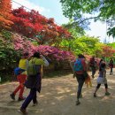 새재넘어 소조령길 마당바우구간 이미지