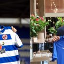 브라이튼독 이미지