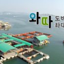 와따 좌대낚시터 네이버블로그