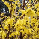 근화여자고등학교 이미지