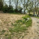 부강119안전센터 이미지