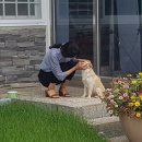 금마면행정복지센터 오마이뉴스