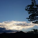 (주)삼열 Daum카페
