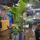 카페브런 이미지