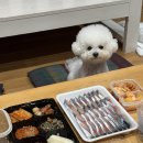 미영이네 | [맛집] 제주여행 미영이네 고등어회 포장 후기 내돈내산 후기