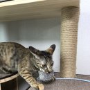 준스카이라운지