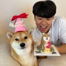 서서울(목포)졸음쉼터 이미지