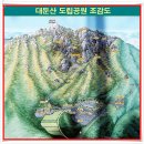 오이칠 Daum카페