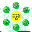 퀸즈헤나 이미지