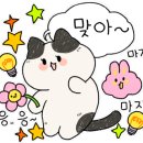 BG독케어센터 이미지