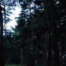 황토부동산공인중개사사무소 이미지