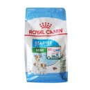 베이비독 이미지