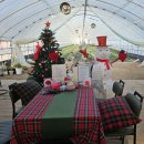 남일로(남후면) 이미지