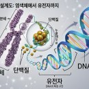 중3과정_생식과 유전_01 세포 분열
