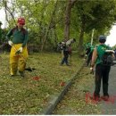 효돈동주민센터 이미지