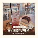 아울커피 | 춘천 남춘천카페 커피블루아울 | 로스터리 카페에서 마신 크림큐브 후기