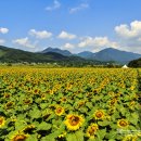 종자산꽃가람