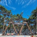 솔숲하우스 | 전북 부안군 변산면 고사포야영장 하우스 9번 변산반도국립공원 250628