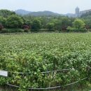 운산천 이미지