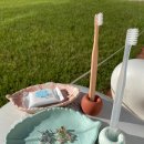 주머니다방 이미지