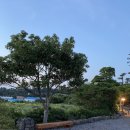 퐁낭 에염 이미지