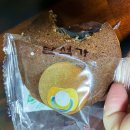 진수미가 이미지