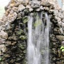 쉼터사슴 이미지