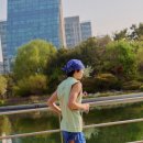 콜라보 데일리안