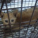 크로바빌딩 이미지