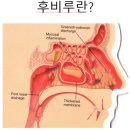 홍대영한의원 이미지