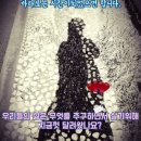 오늘은 우리 sns 블로그단팀들 내장저수지 산책로 둘레길 탐방투어 ~~ 이미지