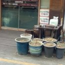 해밀칼국수 이미지