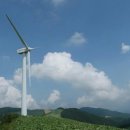 물내치기 이미지