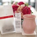 이상순농장 | 오늘의 커피 - 241229 (+커피계의 스몰뉴스)