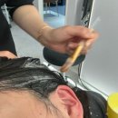 디알메디칼 | 서면 두피관리 잘하는 곳 모바이오 다시봄날 방문 후기