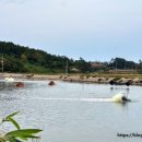 우전 설레미농촌체험휴양마을 이미지