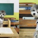 똥강아지 이미지